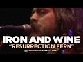 Iron and Wine - Resurrection Fern (Live)