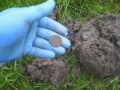 Metal Detecting More Coins & Buttons in Cumbria