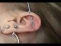 Body Piercing Industrial Ear Piercing-Glendale-AZ | 623-934-9964