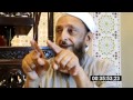 Khidr And Akhirulzaman By Sheikh Imran Hosein