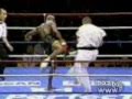 Sherdog Ernesto Hoost Compilation