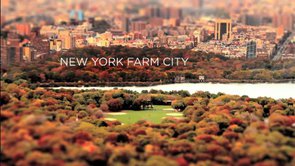 New York Farm City