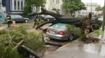 VIDEO: Five days of massive rains have caused dangerous rockslides and downed trees.