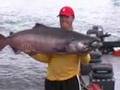 Fishing King Salmon