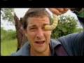 Man vs. Wild - Eating Giant Larva