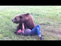 Grizzly Bear Devours Trainer (Original) Part 1