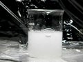 Calcium Reacts with Water