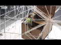 Robotic spider weaves web at MIT Media Lab