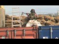 NATO in Afghanistan - ISAF fighting insurgents in Kabul (1/2)