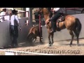 Vengeful Rodeo Contestant