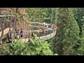 Capilano Suspension Bridge & Cliffwalk - North Vancouver