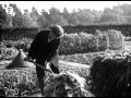 Making a Compost Heap (1941)