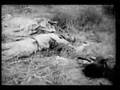 The Viet Cong 1965-1967 - part 1