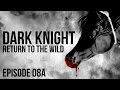 (Breyer Horses Movie) The Dark Knight - Return to the Wild - Part 8A