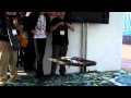 2010 CES：Parrot SAの「AR.Drone」デモ