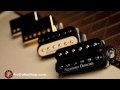 Seymour Duncan Hot Rodded Humbucker Set