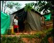 Colombia: Land Rights and the Displaced