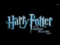 20 - Rons Speech - Harry Potter and the Deathly Hallows Soundtrack (Alexandre Desplat)