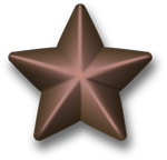 Bronze star