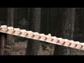 Xylophone in Forest