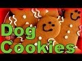 Gingerbread Dog Cookies for your Dog! How to make Dog Treats!