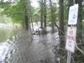 Hurricane Irene hits Great Swamp National Wildlife Refuge