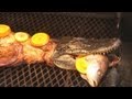 Alligator by the BBQ Pit Boys