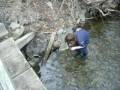 Hand Fishing Cayuga Tributary