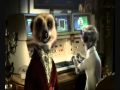 Compare The Meerkat Advert all in one  (Compare The Market), Cheap Car Insurance