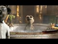 Compare The Meerkat - Jacuzzi Advert - NEW!