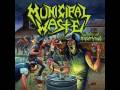 Municipal Waste - The Art of Partying