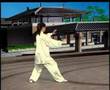 24 Simplified Tai Chi (back view) Demonstration