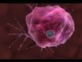 National Cancer Institute: Video Journey Into Nanotechnology