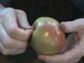 Super-Human Strength - Halve An Apple With Your Bare Hands