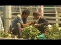 Drug addiction rampant on Kabul streets