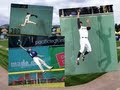 Top Baseball Catches (MLB)