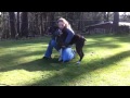 Dog Trainer Saves Dog with CPR