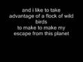 Little Prince - Andrew Jackson Jihad ( with lyrics )