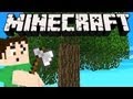 Minecraft - LUMBER HARVESTED