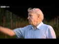 Deforestation in Madagascar - Attenborough and The Giant Egg, Preview - BBC Two