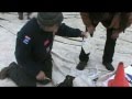 Cutting Up AFP Tent on Michigan Capitol Lawn