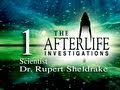 The Afterlife Investigations 1 - Rupert Sheldrake, PhD