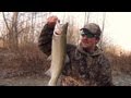 Steelhead Fishing Elk Creek 2012 Erie Pa