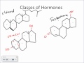 Endocrine System Physiology.wmv