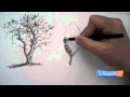 How to Draw Trees