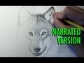 How to Draw a Wolf (Narrated)