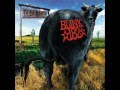 blink-182 Dude Ranch (full album)