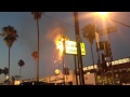 Palm Tree Fire - Los Angeles 2012