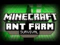 Ant Farm Survival - Ep. 3 - Dealing with Spawners!