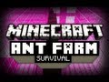 Ant Farm Survival - Ep. 5 - My Face is Not for Dinner!